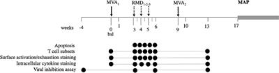 In vivo Effects of Romidepsin on T-Cell Activation, Apoptosis and Function in the BCN02 HIV-1 Kick&Kill Clinical Trial